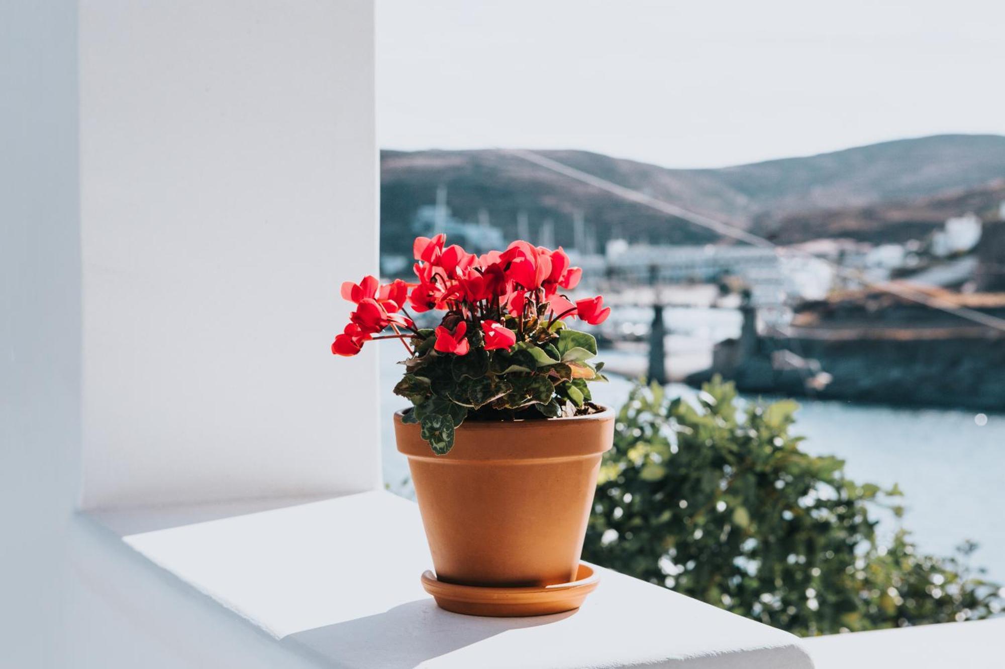Fos Suites Loutrá Dış mekan fotoğraf